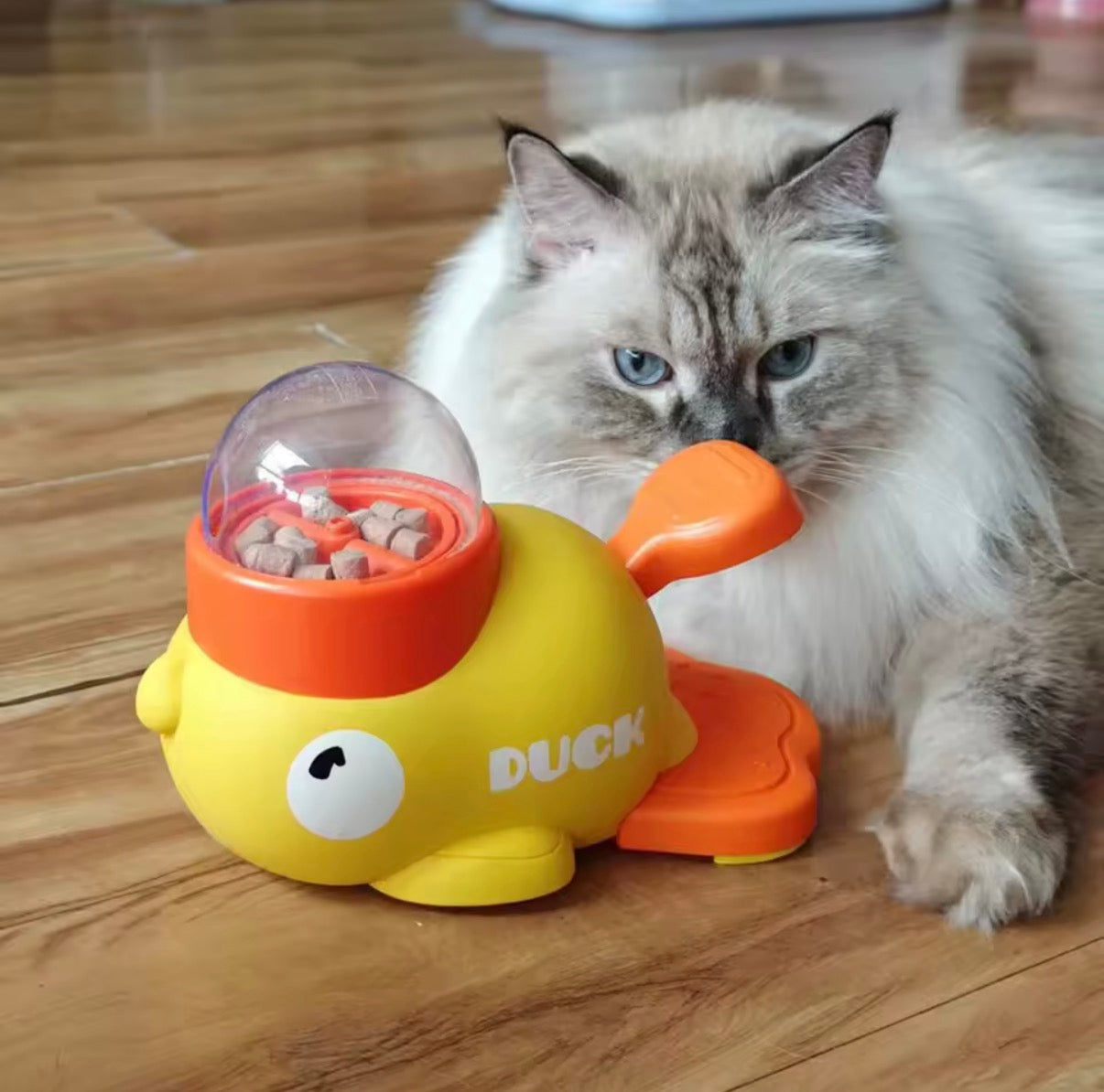 Duck Cat Feeder